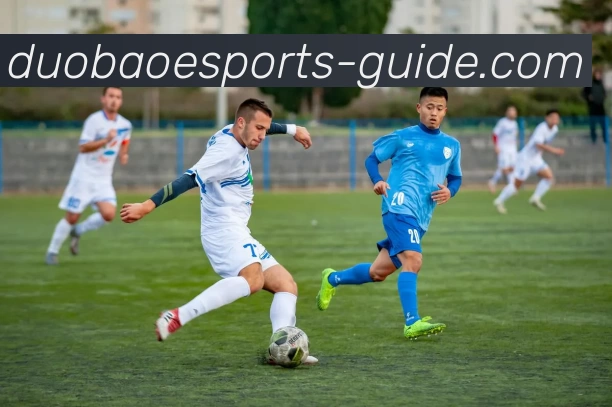 App Interface Preview